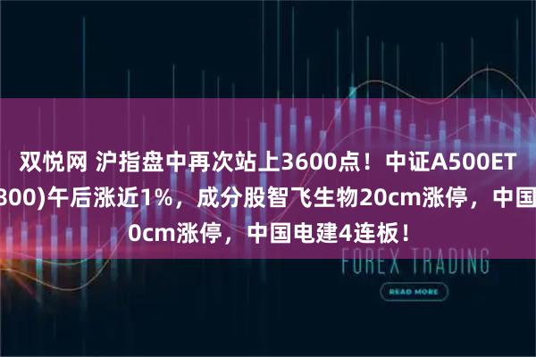 双悦网 沪指盘中再次站上3600点！中证A500ETF龙头(563800)午后涨近1%，成分股智飞生物20cm涨停，中国电建4连板！